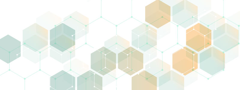 BNFM-Background